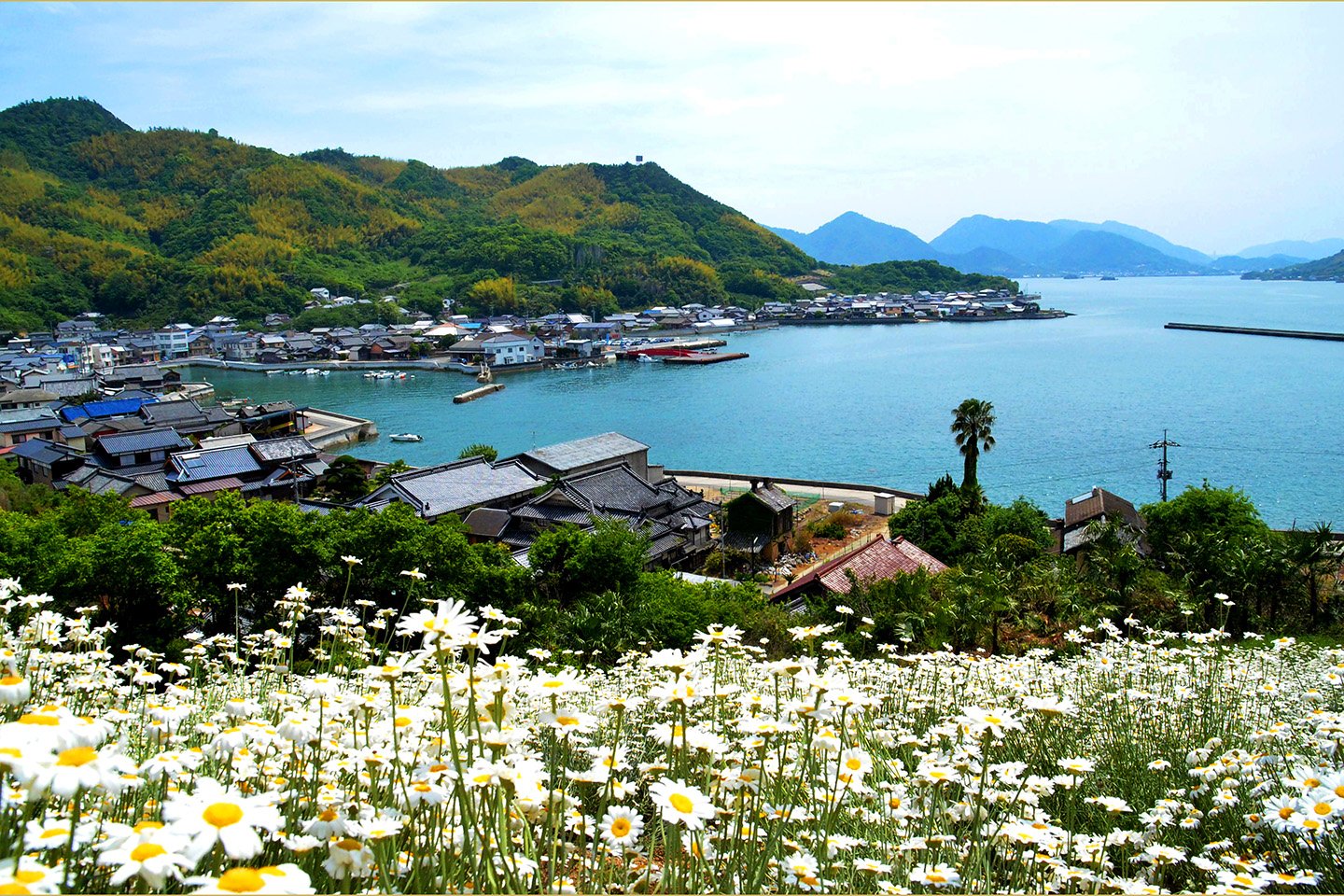 🌸 꽃 정원(인노시마 플라워 센터) 이미지 6